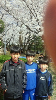 2013033015560000-2.jpg