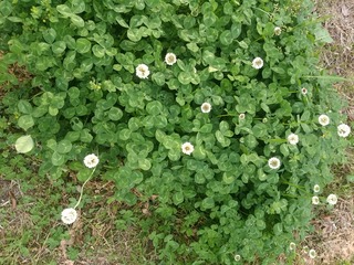 IMG_20160424_171237.jpg
