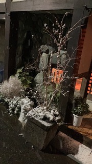 IMG_7664.jpeg